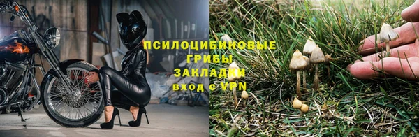 гашишное масло Богданович